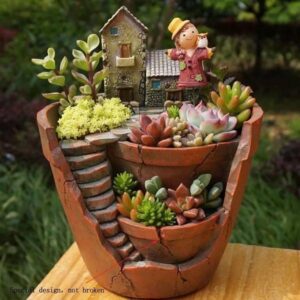 Succulent Flowers Pot