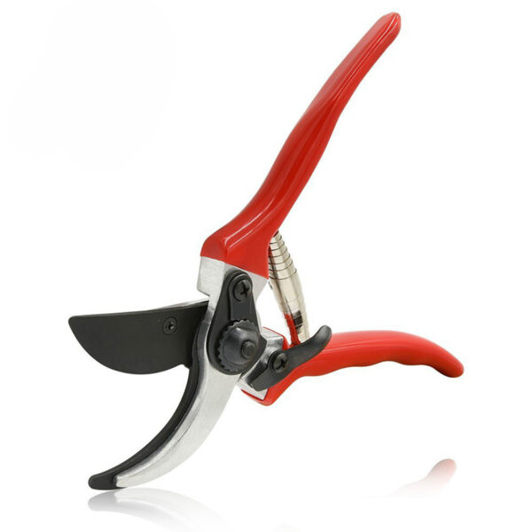 Shears Garden Tool